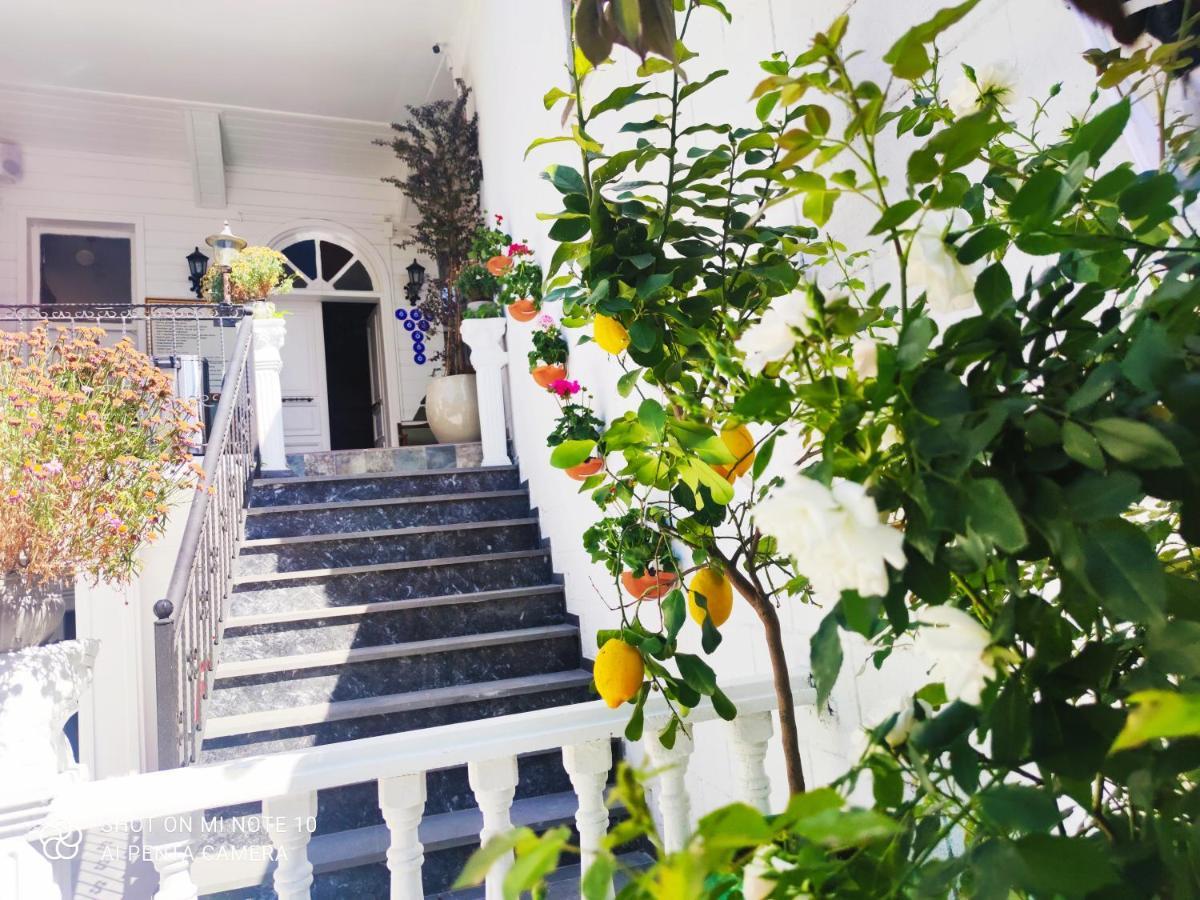 Solomon'S Mansion Hotel Istanbul Istambul Exterior foto